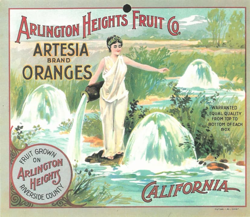 Arlington Heights Fruit Co. — Artesia Brand Oranges, Riverside County, California