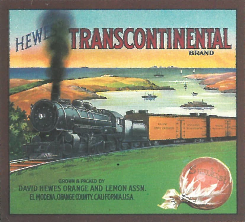 Transcontinental Brand