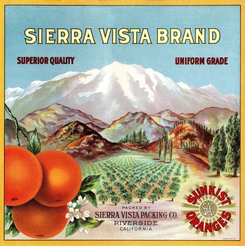 Sierra Vista Brand — Superior Quality, Uniform Grade — Sierra Vista Packing Co., Riverside, California