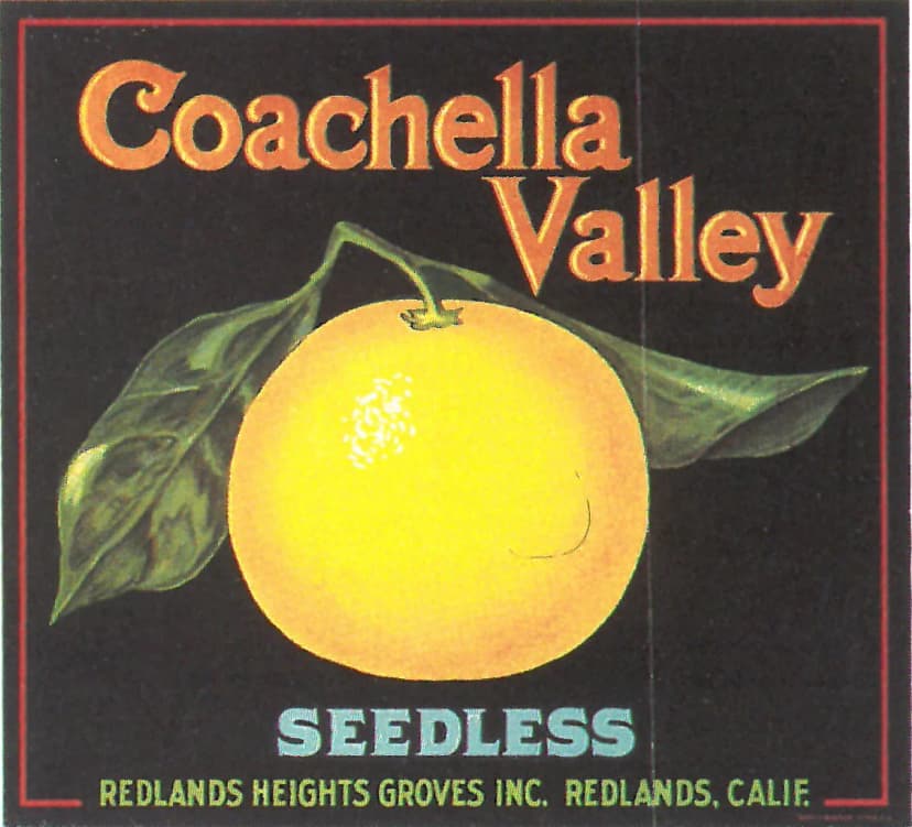 Coachella Valley Seedless — Redlands Heights Groves Inc., Redlands, Calif.
