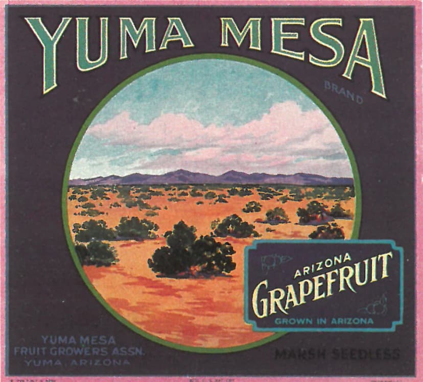 Yuma Mesa Arizona Grapefruit