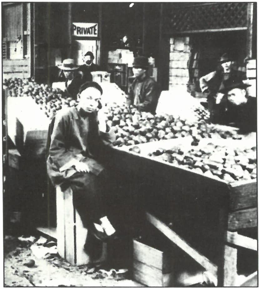 Photograph of fruit sorting by hand