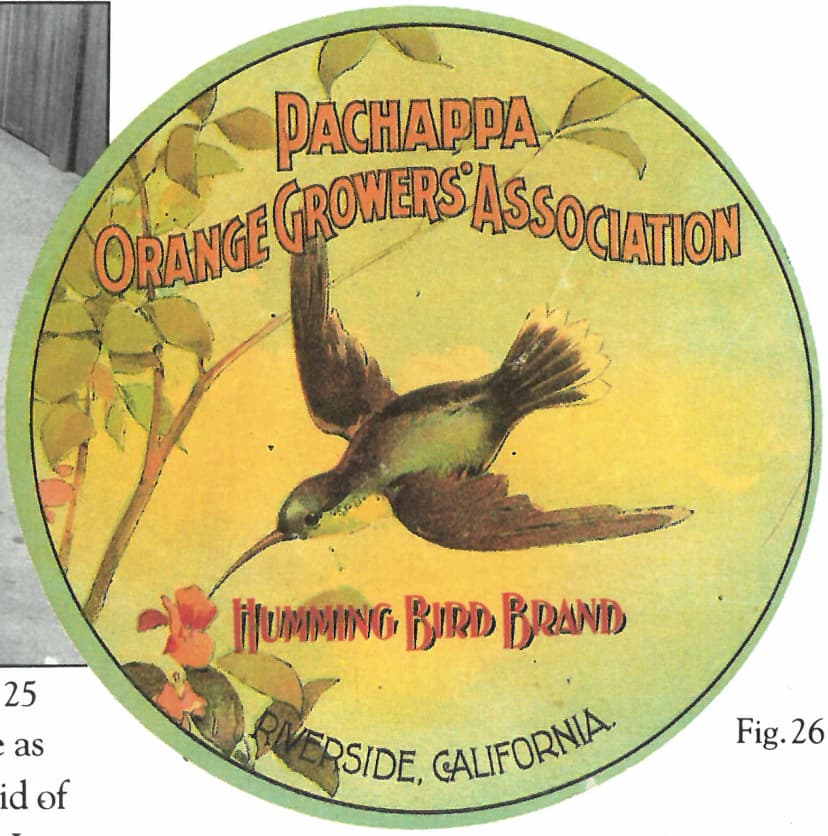 Pachappa Orange Growers' Association — Humming Bird Brand, Riverside California