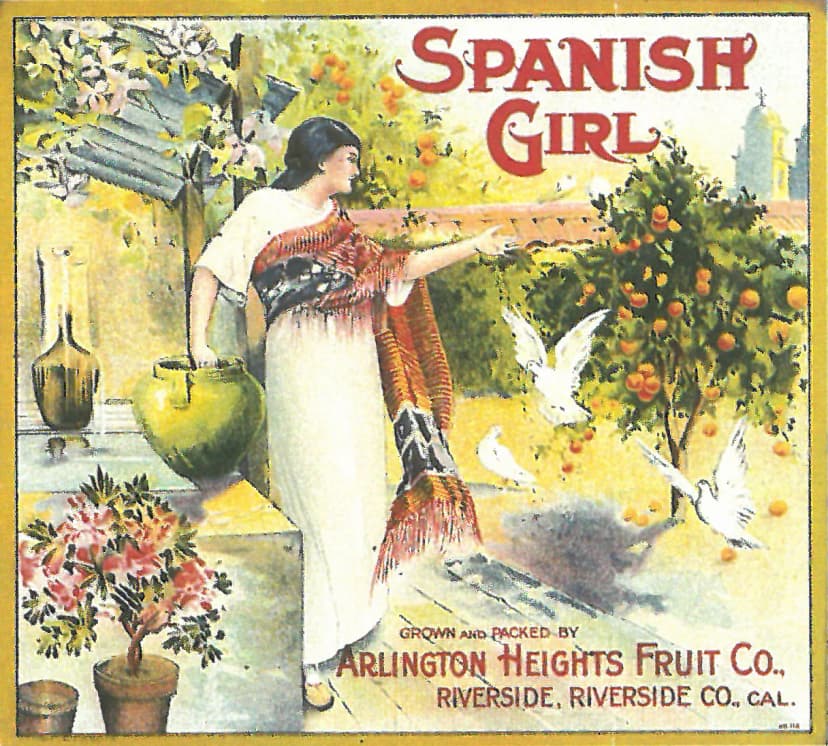 Spanish Girl — Arlington Heights Fruit Co., Padulo, Riverside Co., Cal.