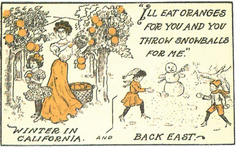 I'll eat oranges for you and you throw snowballs for me. — Winter in California… and Back East…