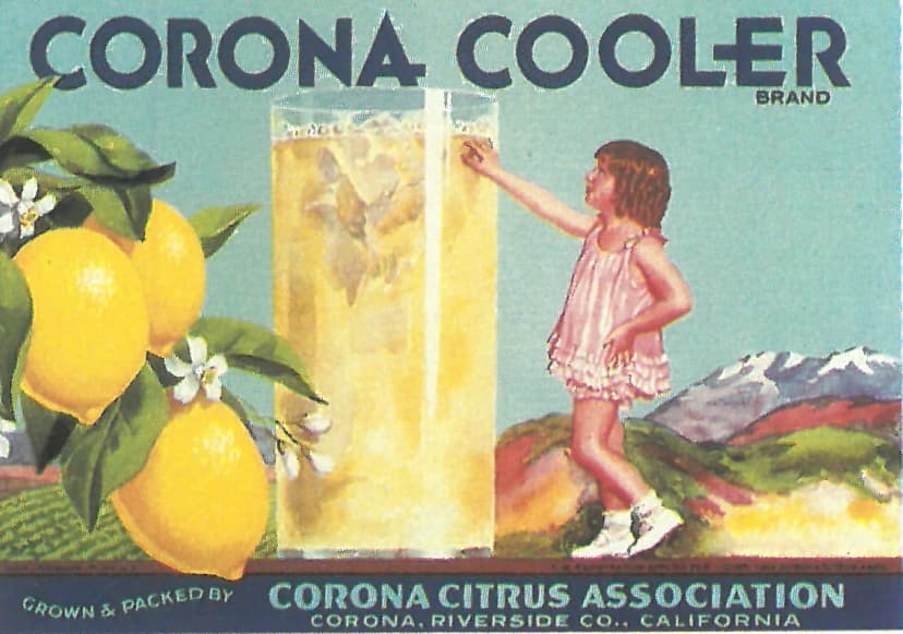 Corona Cooler — Corona Citrus Association