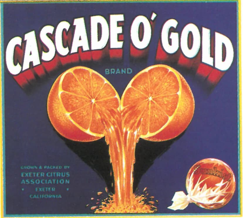 Cascade O' Gold Brand — Lincoln Citrus Assn.