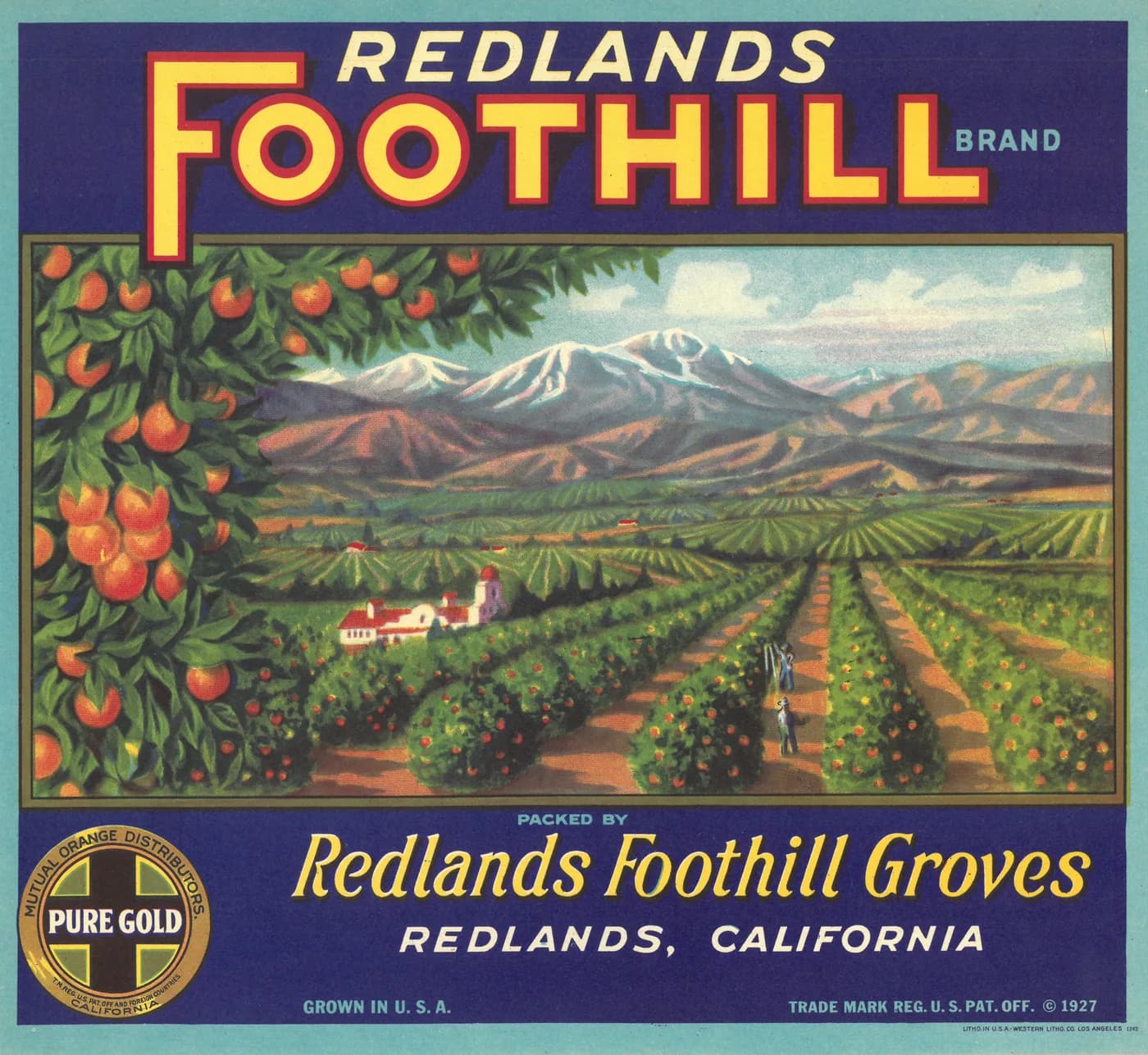 Redlands Foothill, citrus crate label, oranges, Redlands, California, 1927