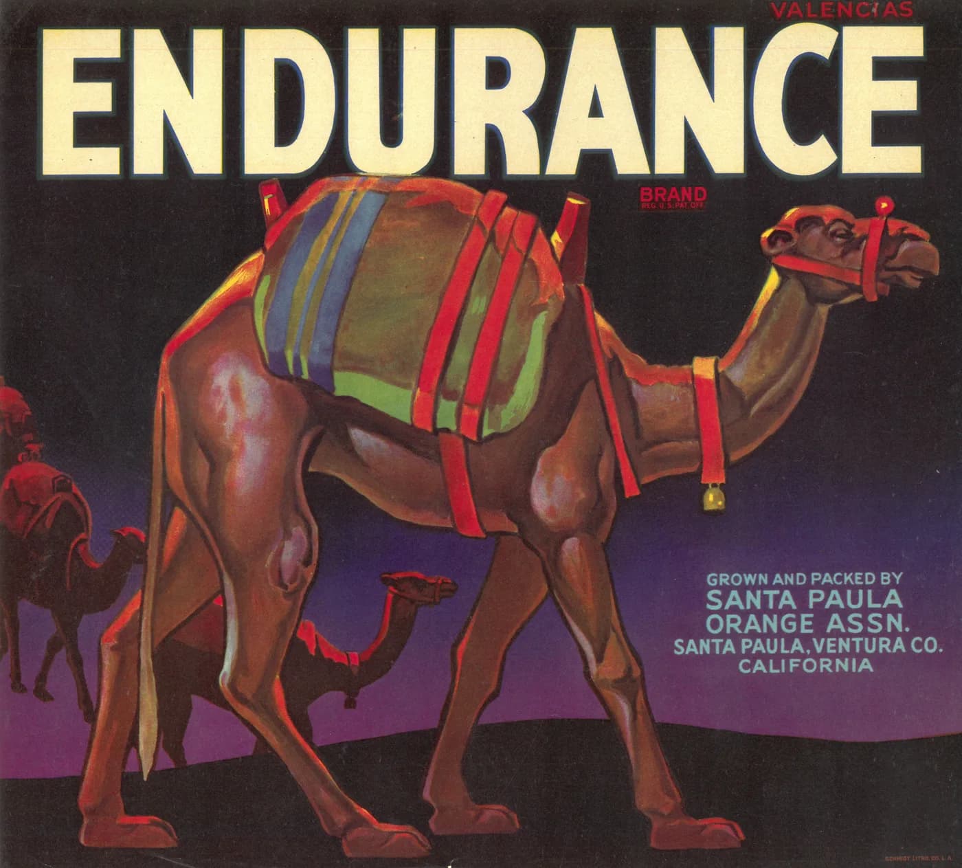 Endurance