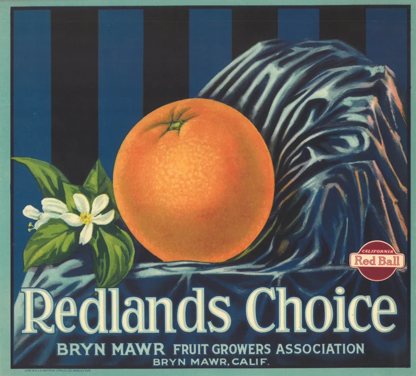 Redlands Choice, citrus crate label, orange, Bryn Mawr, Calif., 1920-1930