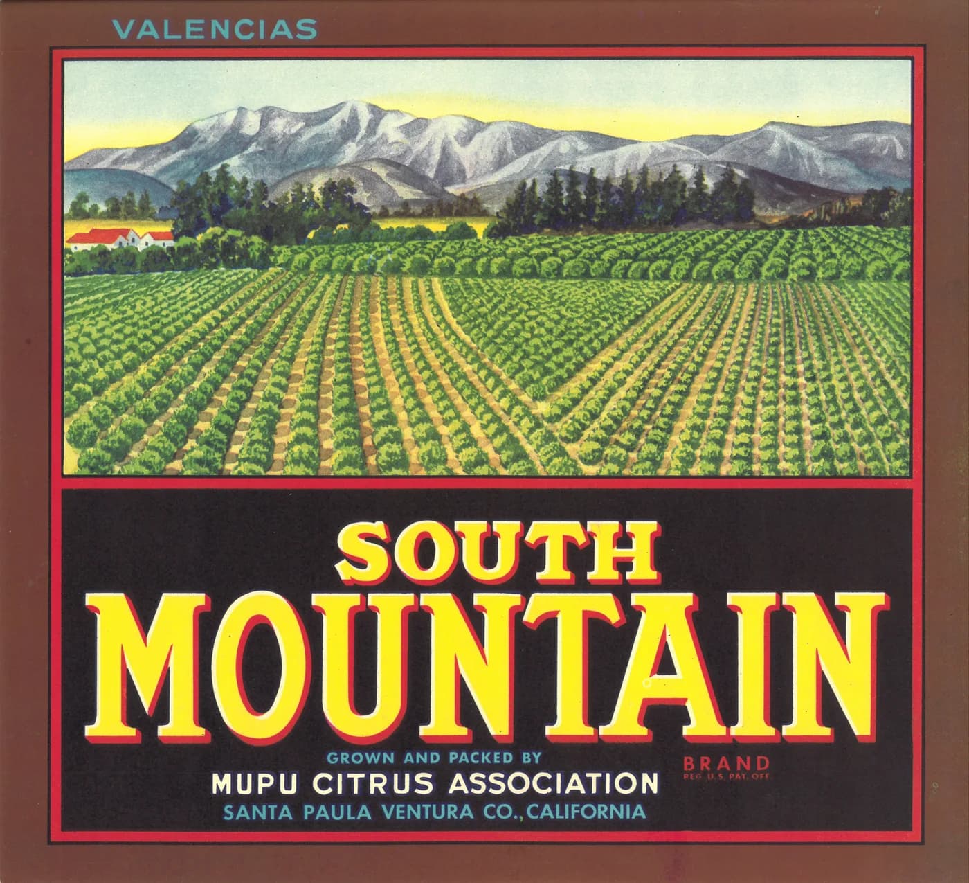 South Mountain, citrus crate label, valencias, Santa Paula Ventura Co., California, 1944