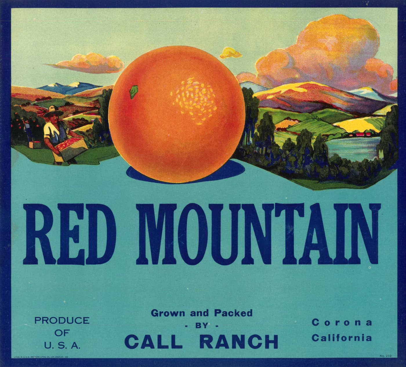 Red Mountain, citrus crate label, orange, Corona, California, 1920-1930