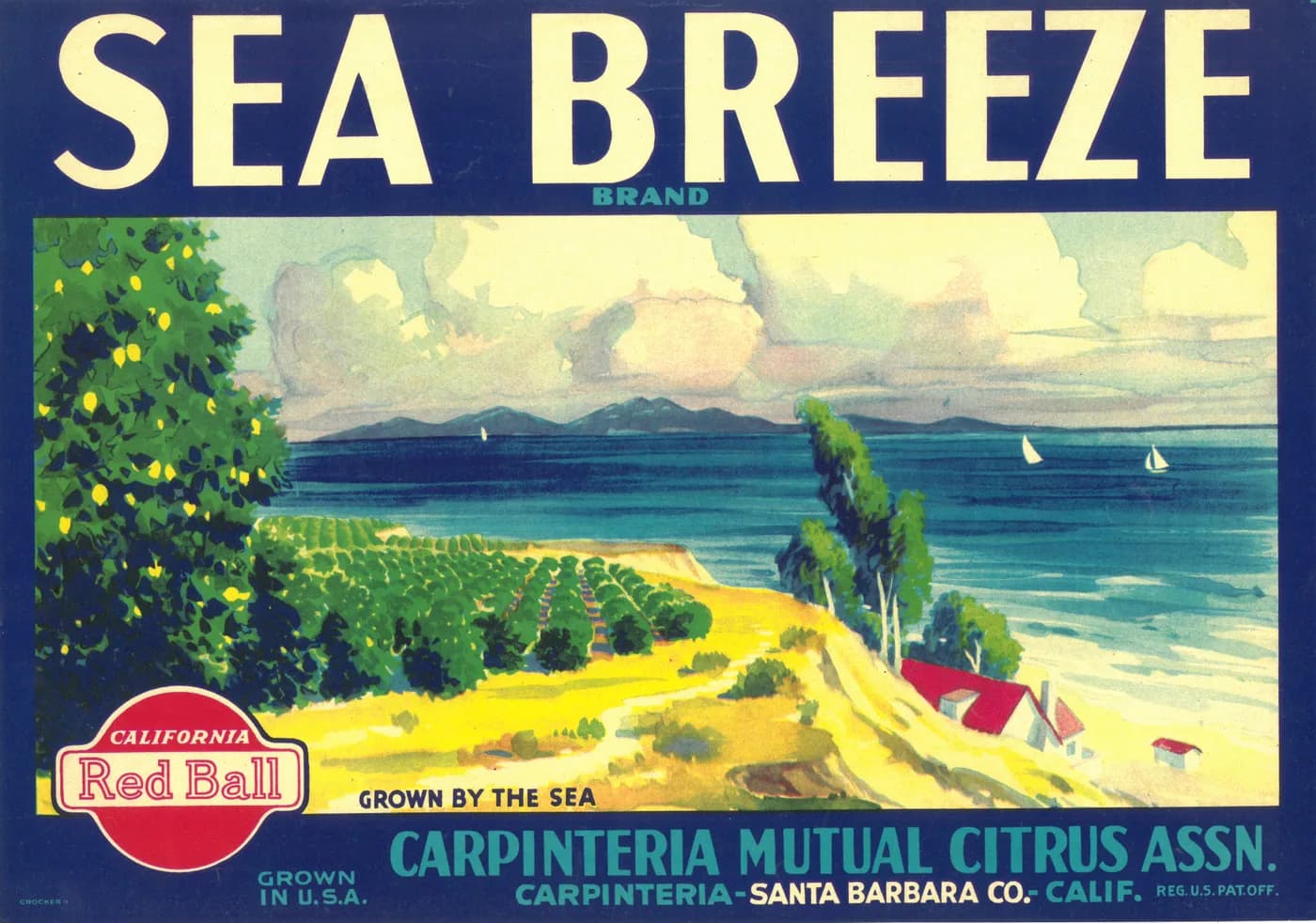 Sea Breeze Brand