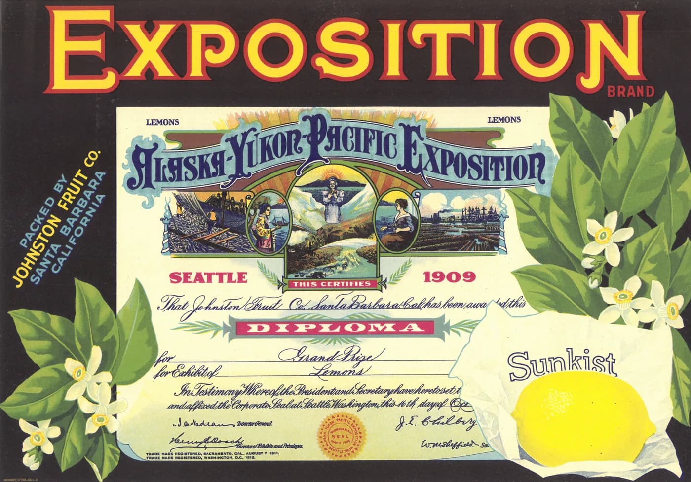 Exposition, citrus crate label, lemons, Santa Barbara, California, 1910-1920