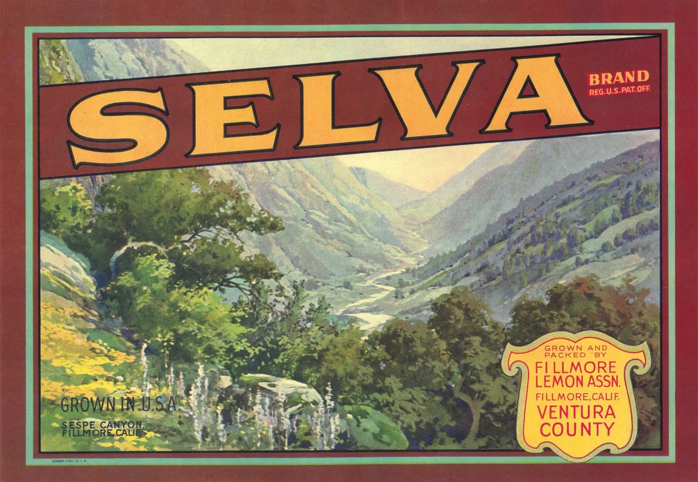 Selva, citrus crate label, Sespe Canyon, Fillmore, Calif., 1918