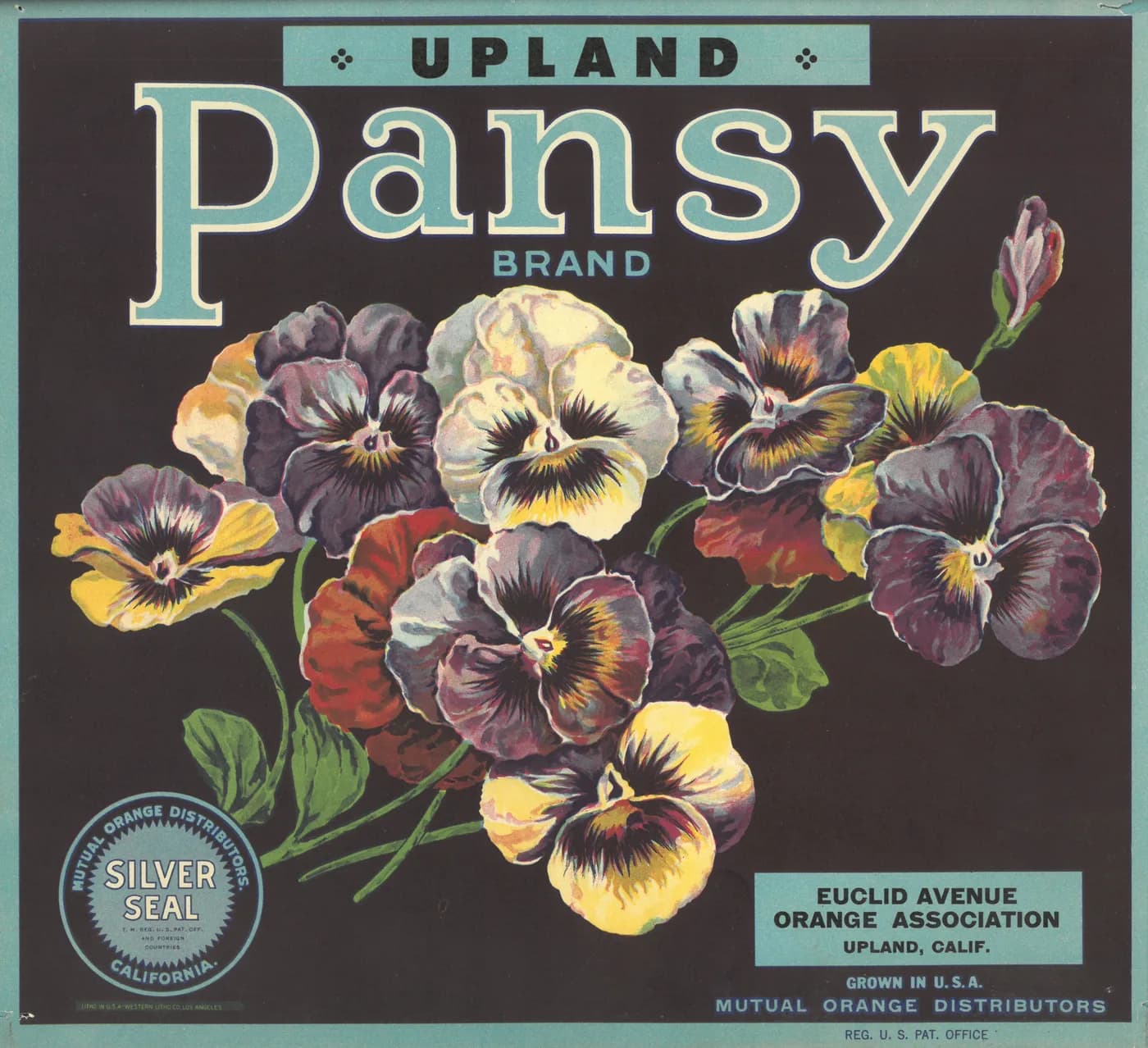 Pansy, citrus crate label, orange, Upland, Calif., 1920-1930