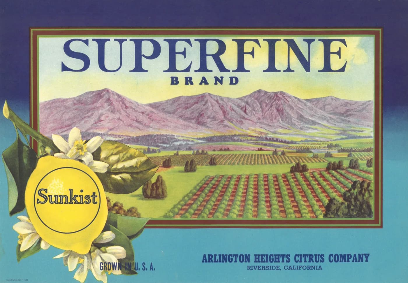 Superfine, citrus crate label, lemon, Riverside, California, 1925
