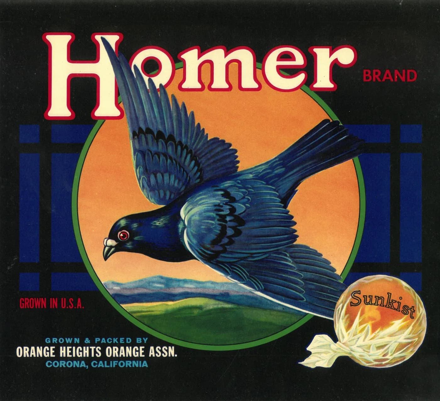 Homer, citrus crate label, sunkist, Corona, California, 1948