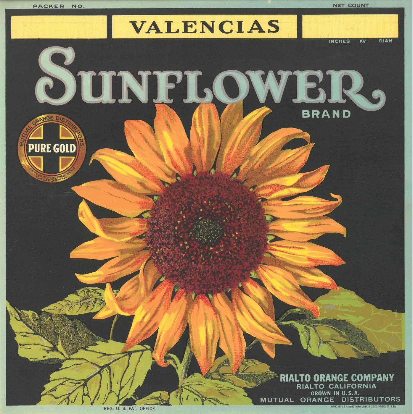Sunflower, citrus crate label, valencias, Rialto, California, 1926