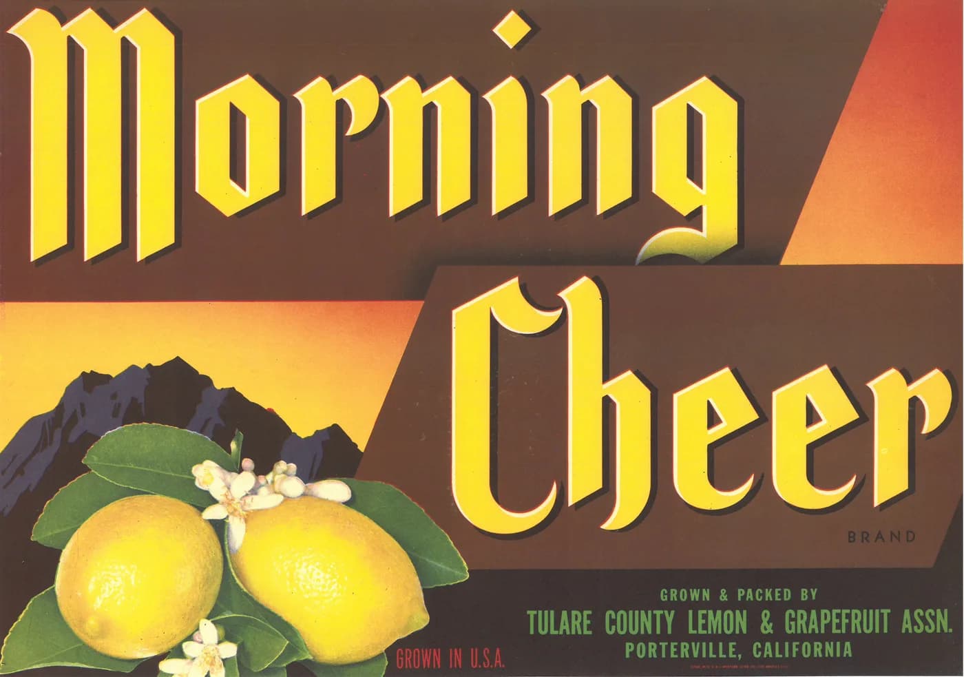 Morning Cheer, citrus crate label, lemon, Porterville, California, 1920-1930