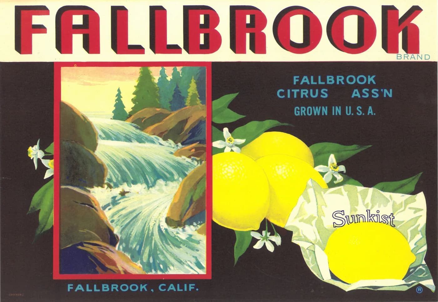 Fallbrook, citrus crate label, lemon, Fallbrook, Calif., 1920-1930