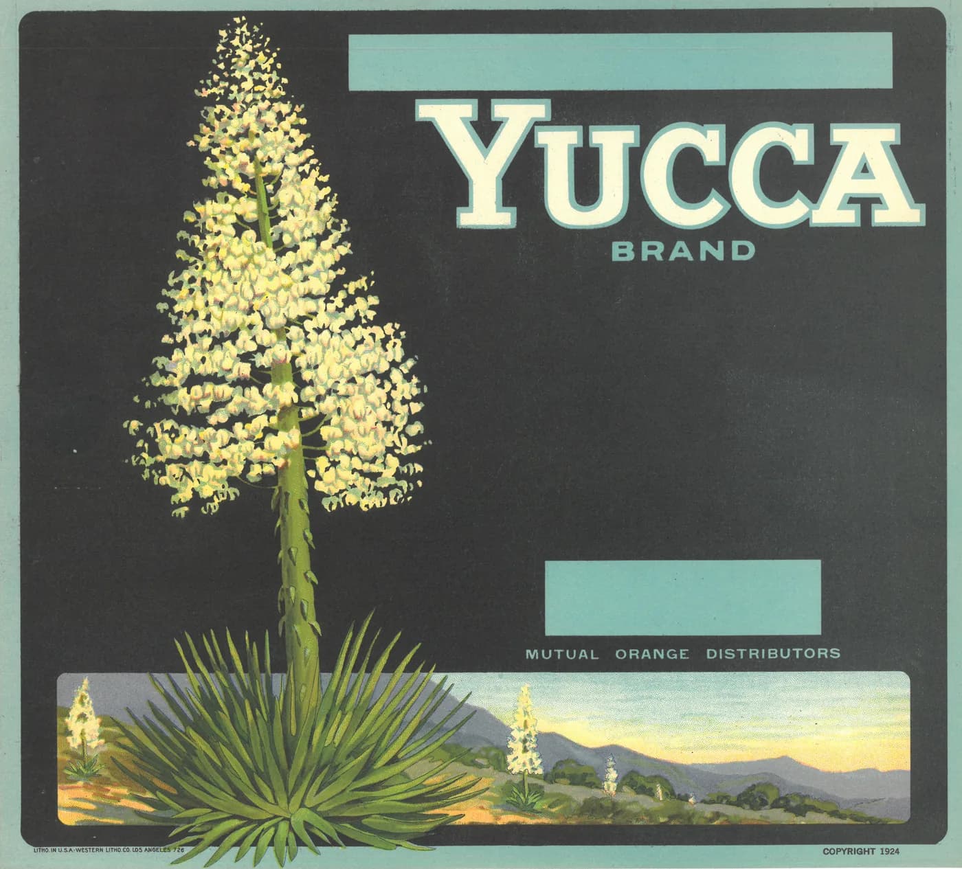 Yucca Brand, citrus crate label, 1924