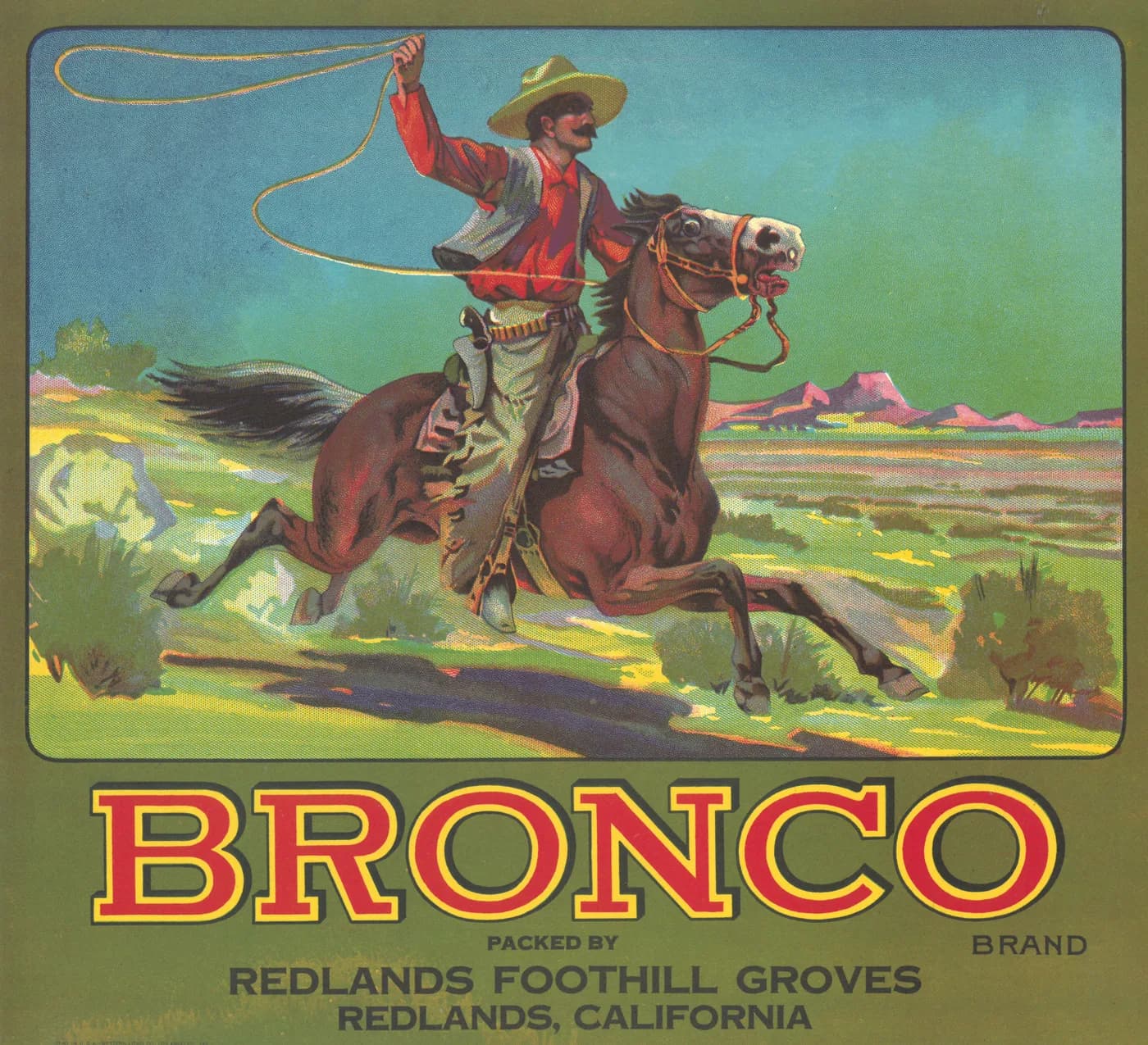 Bronco, citrus crate label, Redlands, California, 1910-1920