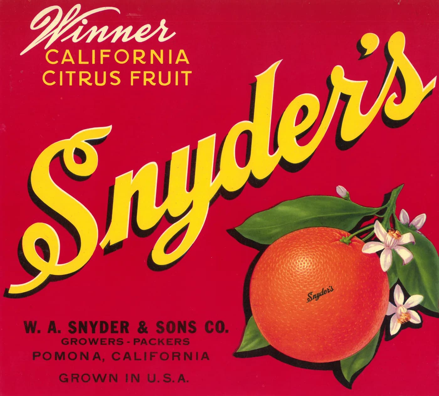 Snyder's, citrus crate label, citrus fruit, Pomona, California, 1920-1930