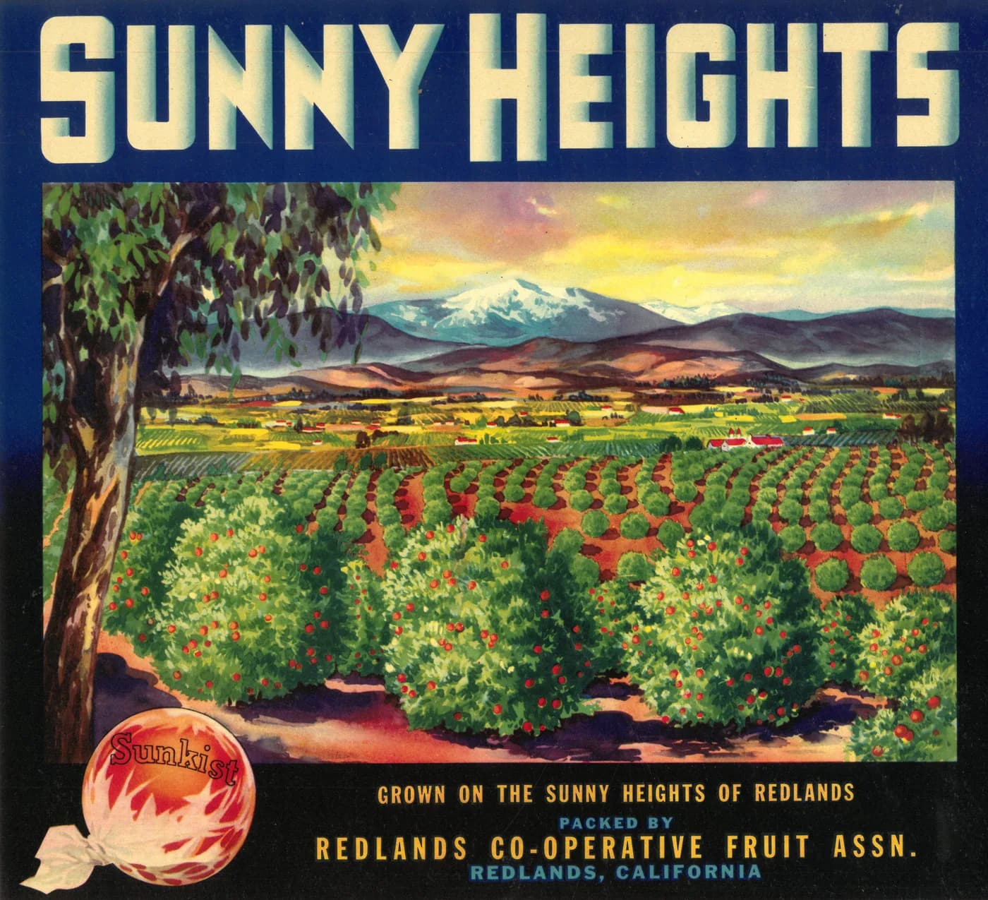 Sunny Heights, citrus crate label, oranges, Redlands, California, 1930-1940