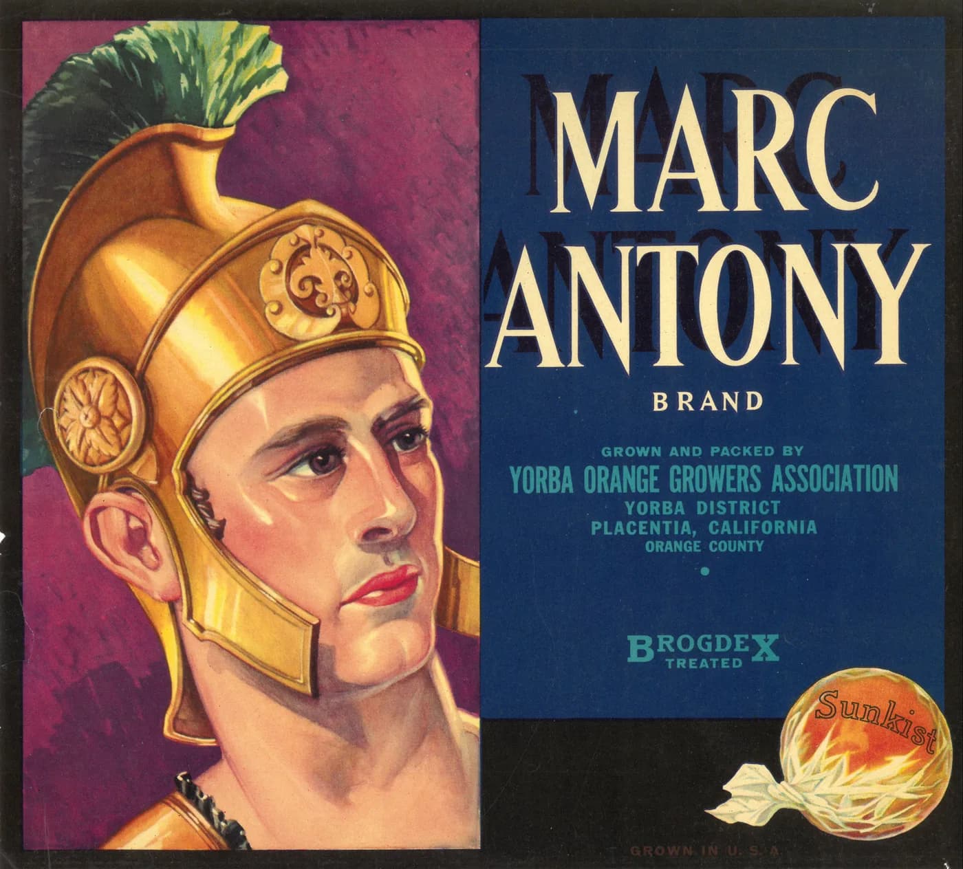 Marc Antony, citrus crate label, orange, Yorba District, Placentia, California, Orange County, 1910-1920