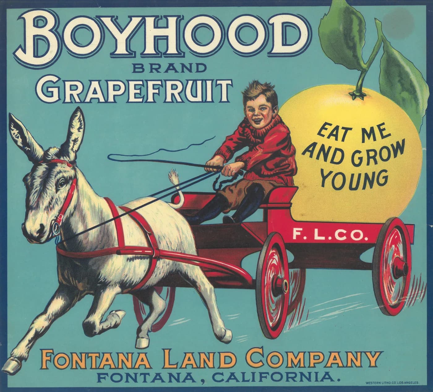 Boyhood, citrus crate label, grapefruit, Fontana, California, 1910-1920