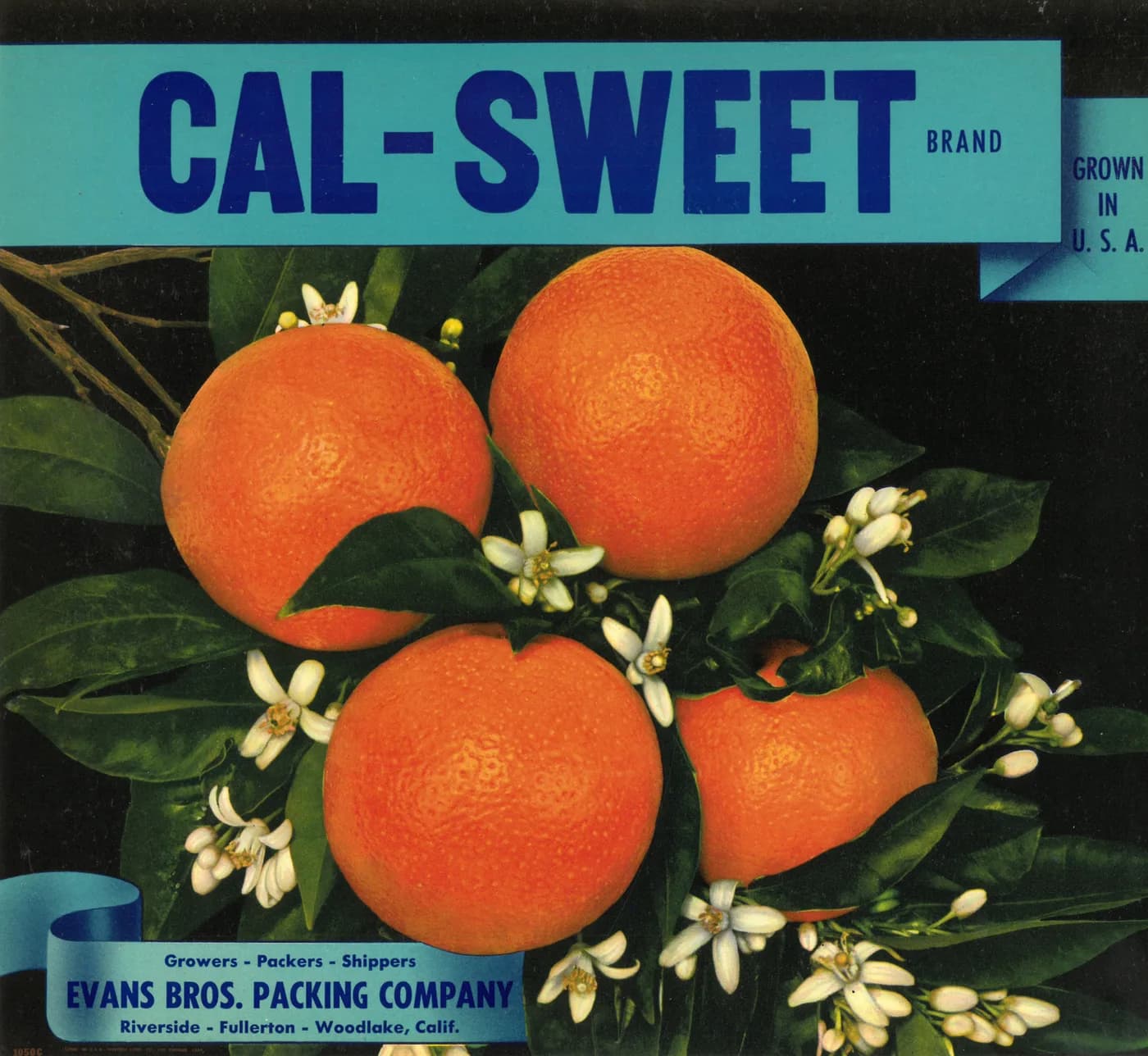 Cal-Sweet, citrus crate label, oranges, U.S.A., 1920-1930