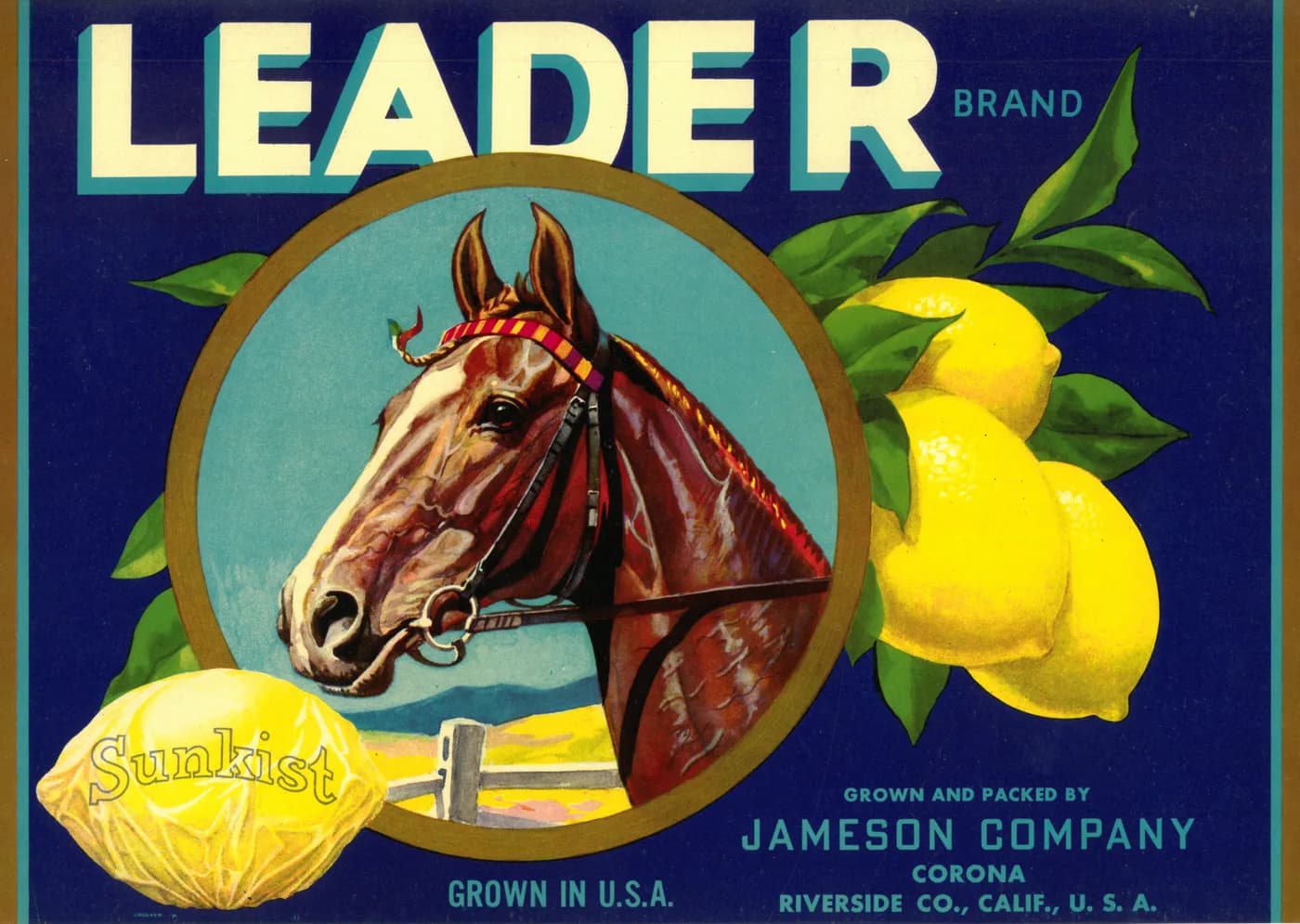 Leader, citrus crate label, lemon, Corona, Riverside Co., Calif., U.S.A., 1890-1900