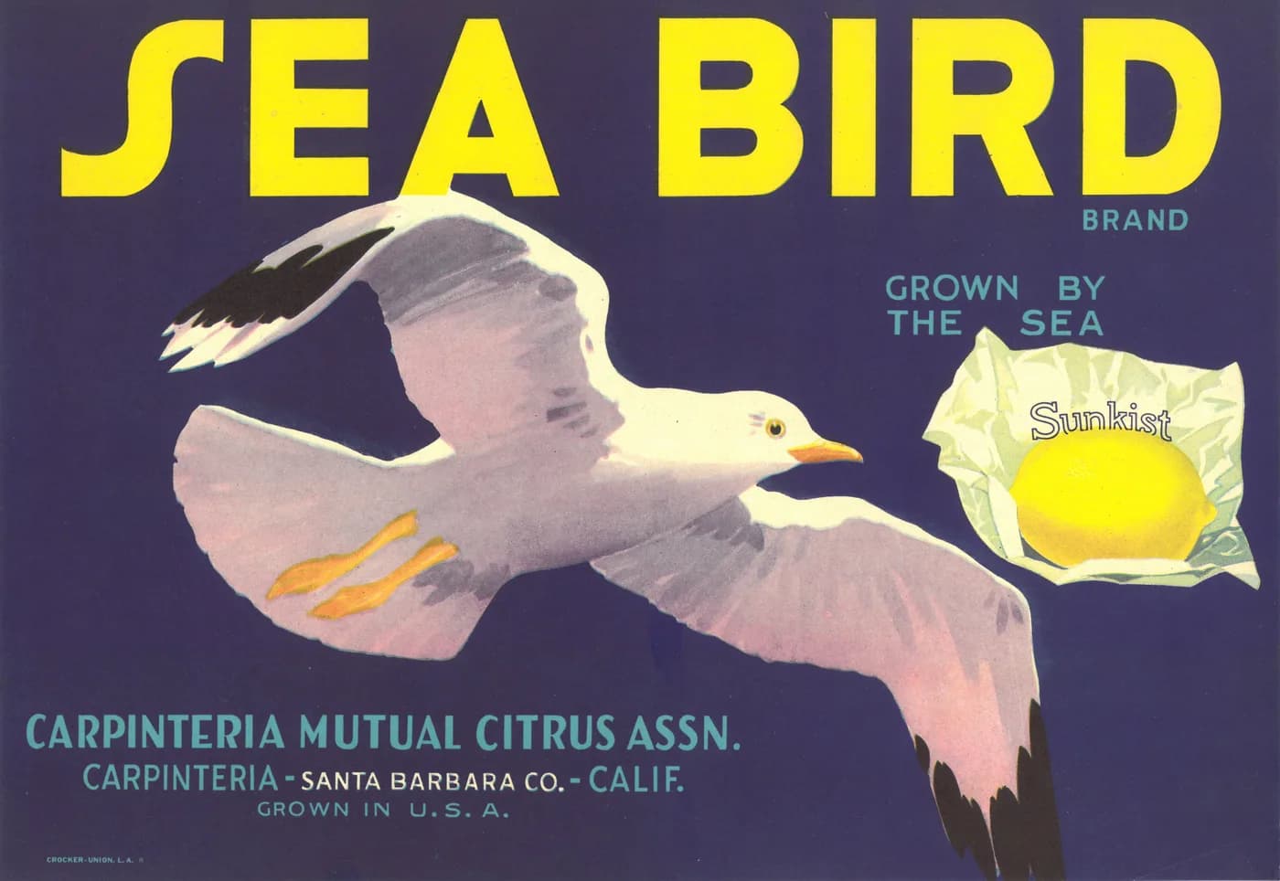 Sea Bird, citrus crate label, lemon, Carpinteria, Santa Barbara Co., Calif., 1910-1920