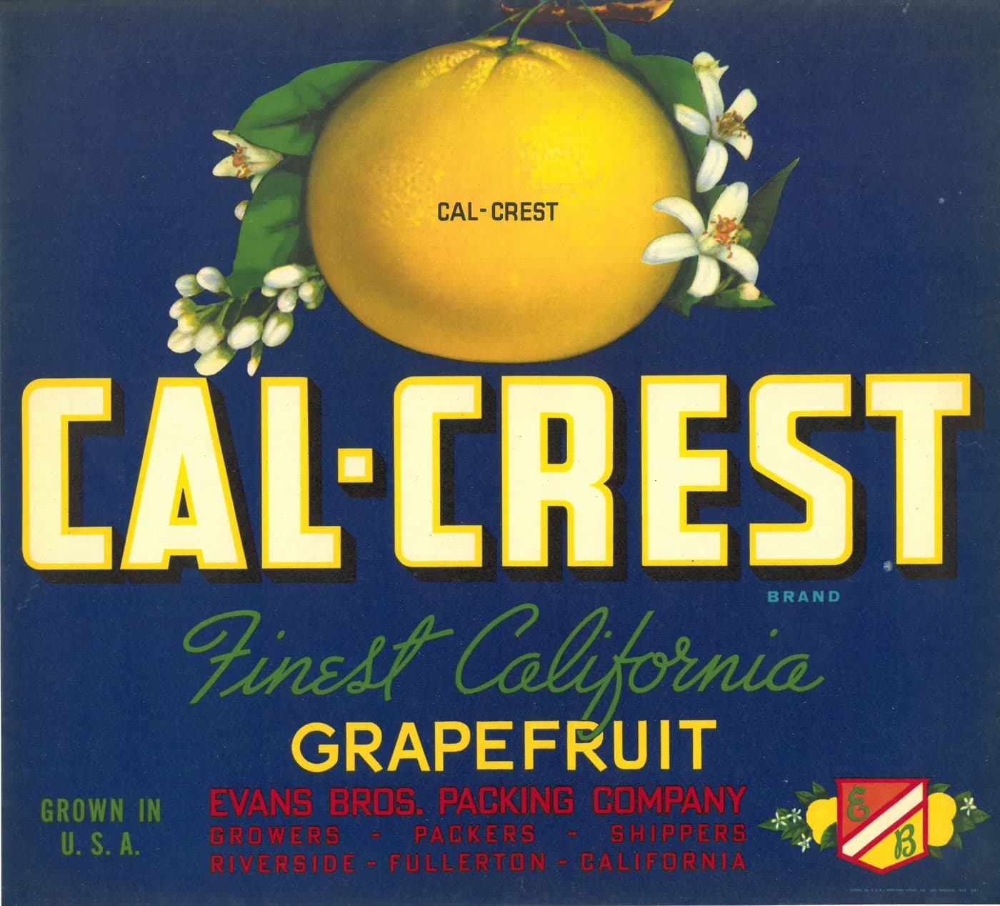 Cal-Crest, citrus crate label, grapefruit, Riverside - Fullerton - California, 1920-1930