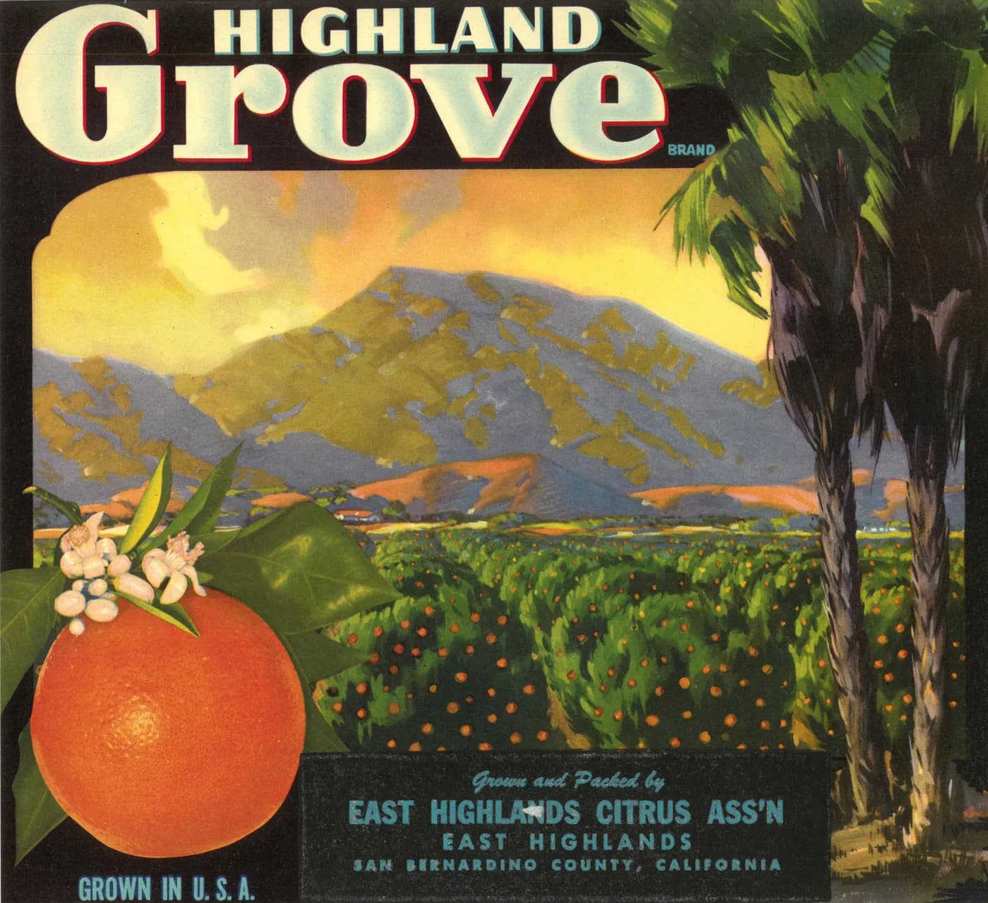 Highland Grove, citrus crate label, orange, East Highlands, San Bernardino County, California, 1932