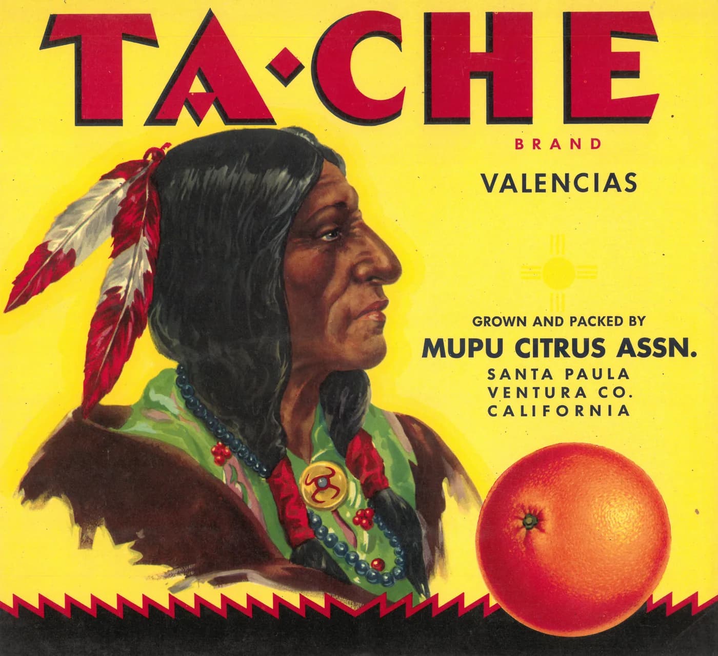 TA-CHE, citrus crate label, valencias, Santa Paula, Ventura Co., California, 1955