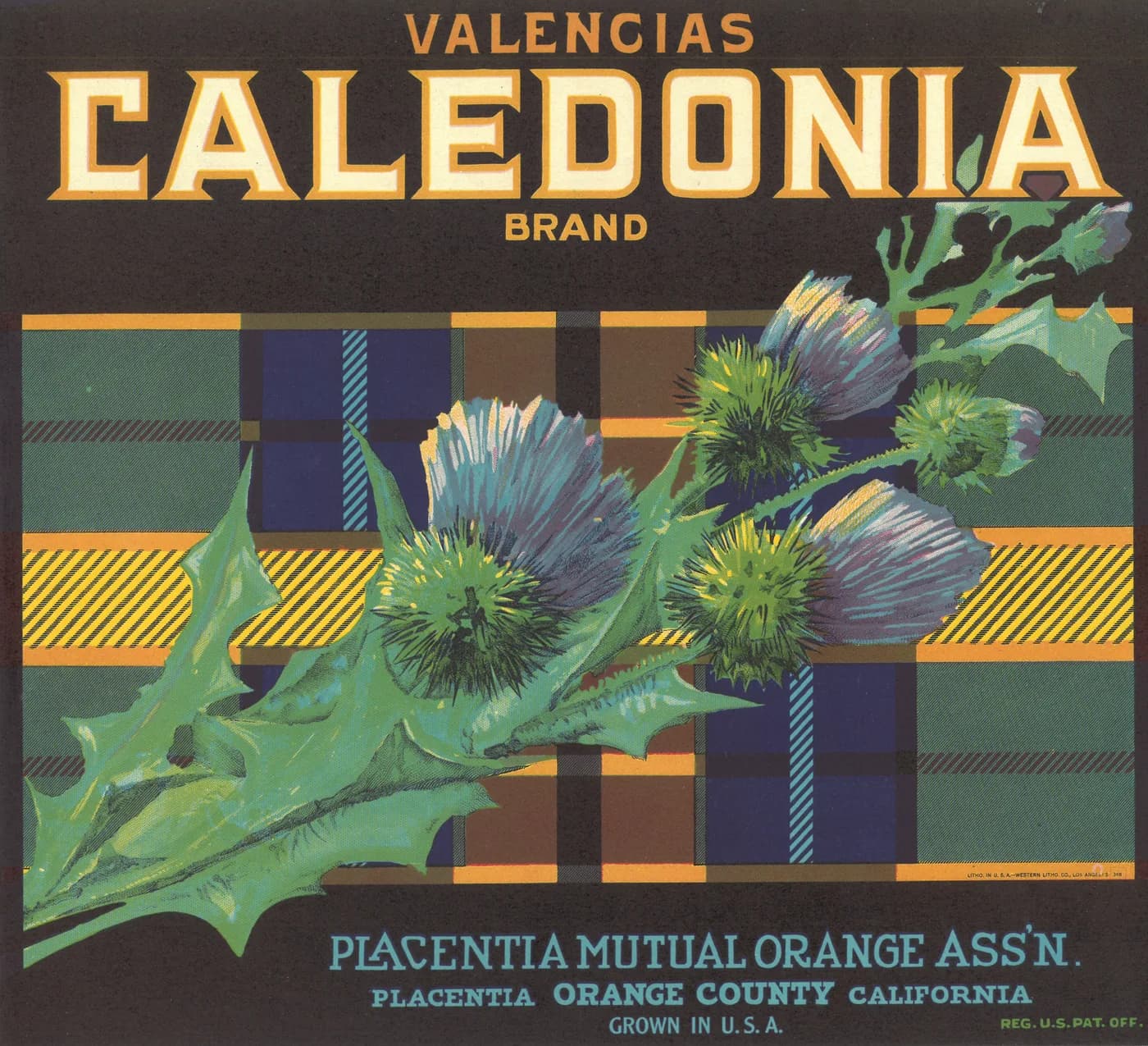 Caledonia, citrus crate label, valencias, Placentia, Orange County, California, 1910-1920