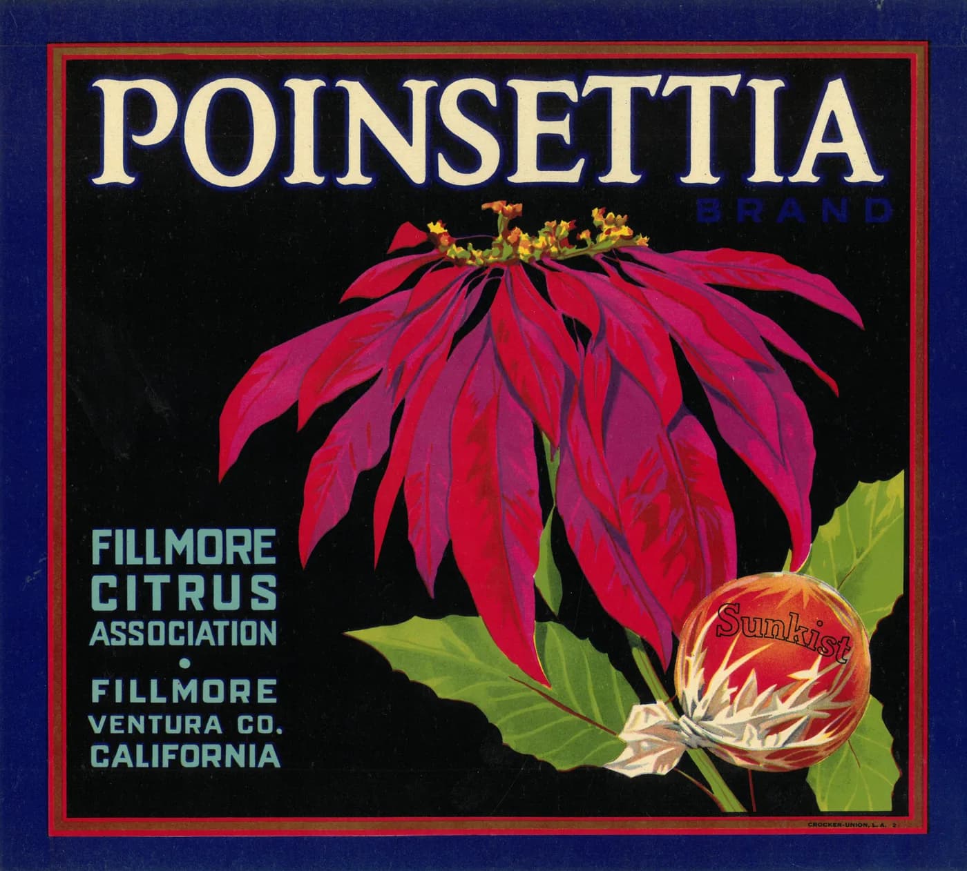 Poinsettia, citrus crate label, sunkist, Fillmore, Ventura Co., California, 1900-1910
