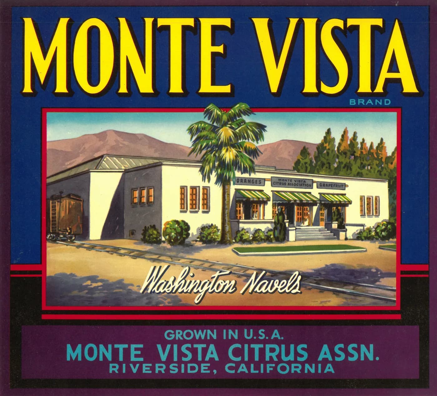 Monte Vista, citrus crate label, washington navels, Riverside, California, 1924