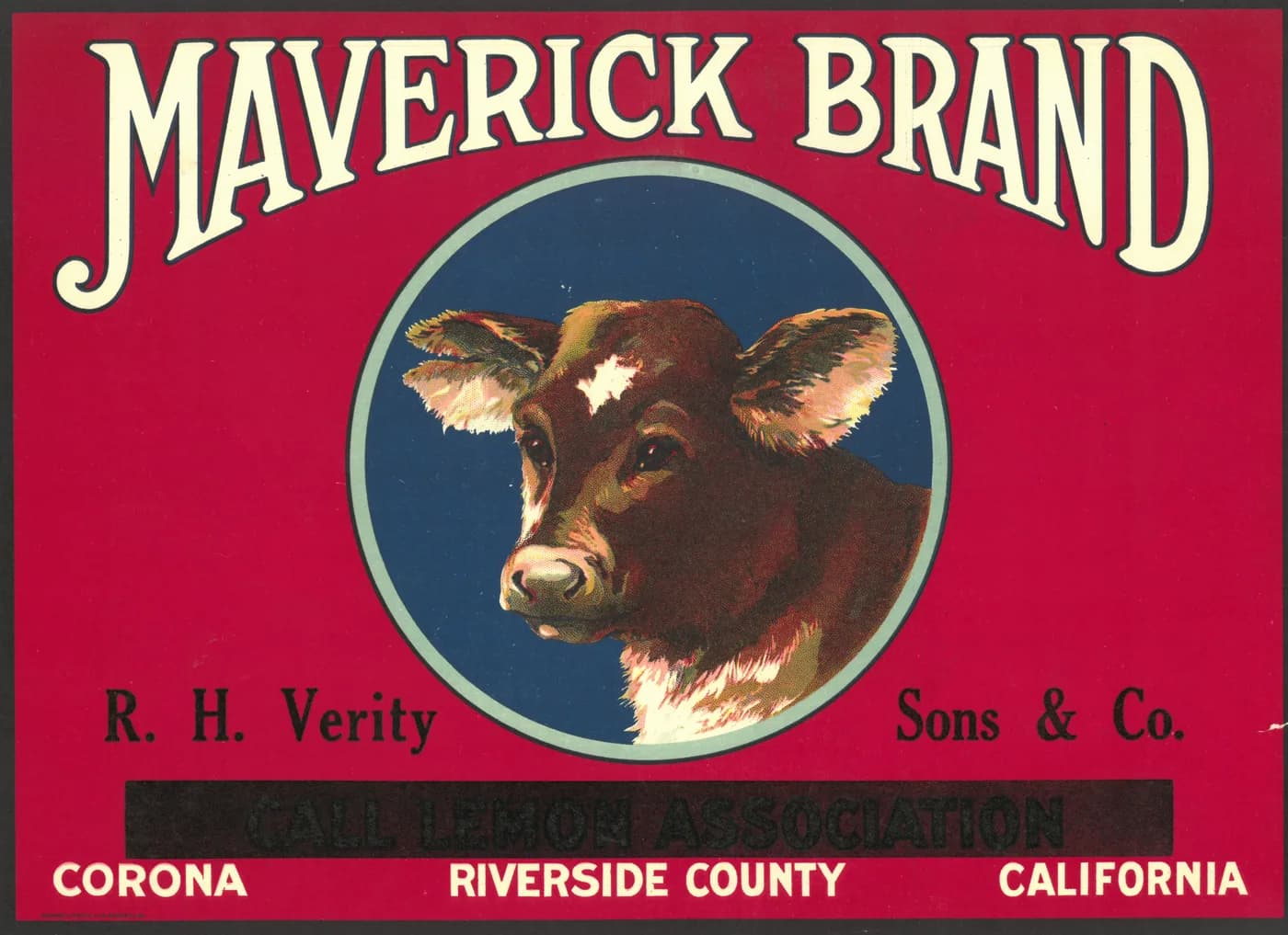 Maverick Brand, citrus crate label, Corona, Riverside County, California, 1930-1940