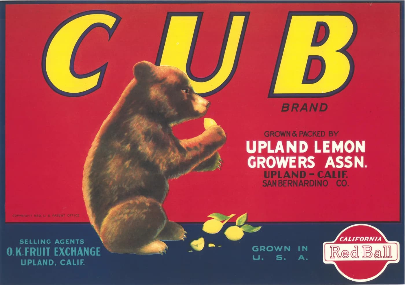 Cub, citrus crate label, lemon, Upland, Calif. San Bernardino Co., 1925