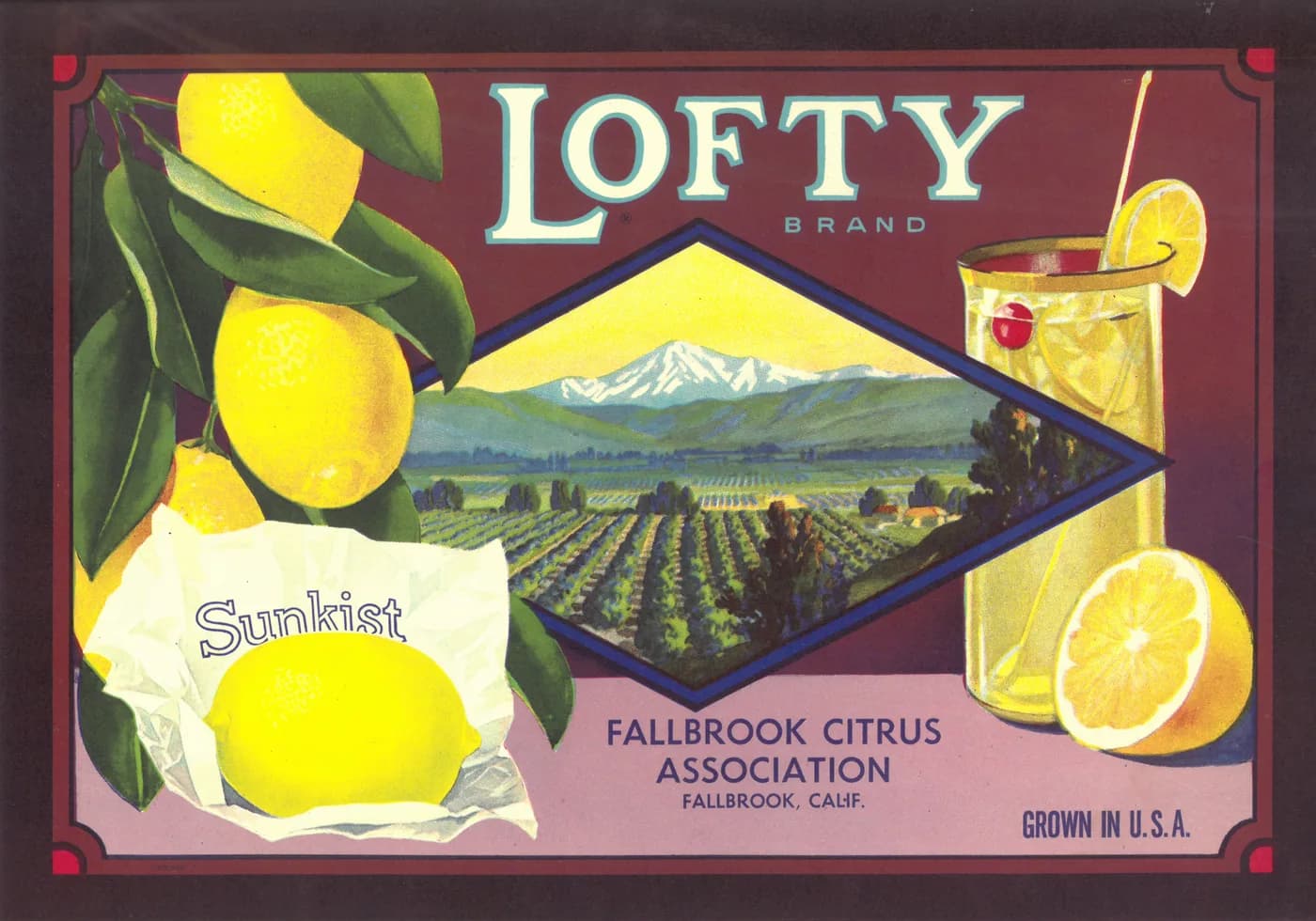 Lofty, citrus crate label, lemon, Fallbrook, Calif., 1920-1930