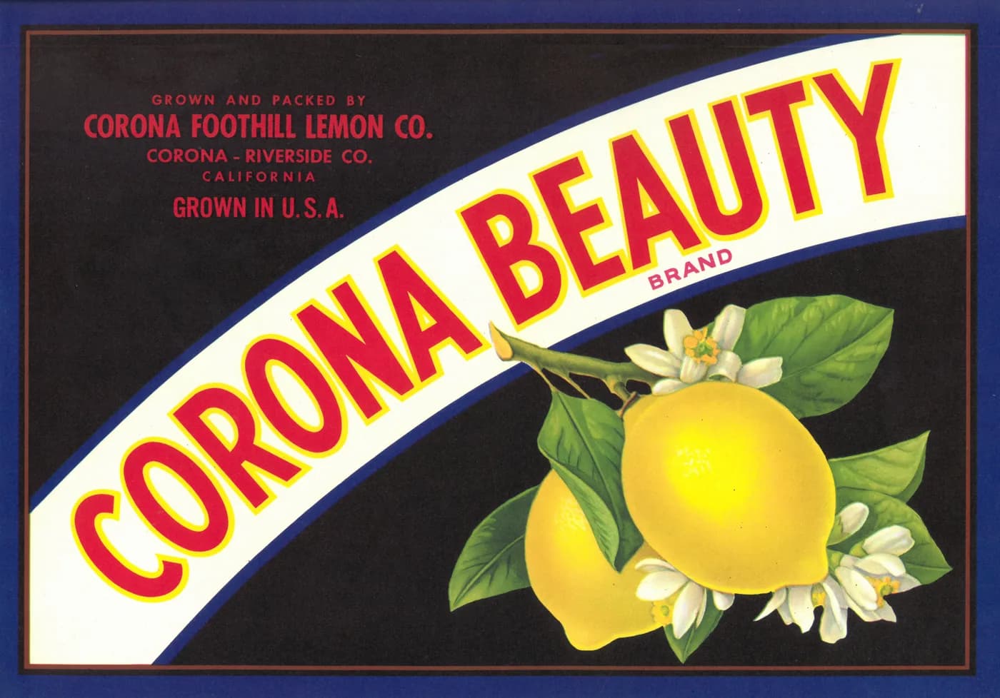 Corona Beauty, citrus crate label, lemon, Corona - Riverside Co., California, 1900-1910