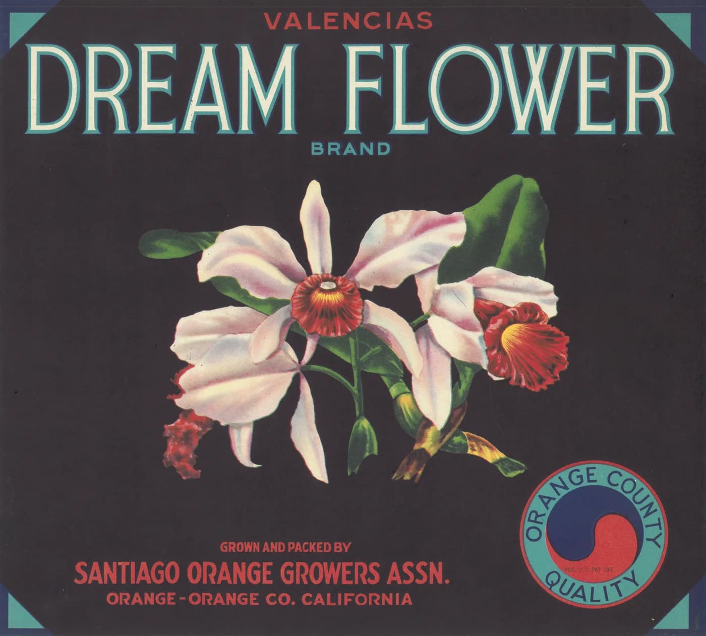 Dream Flower, citrus crate label, valencias, Orange - Orange Co. California, 1930-1940