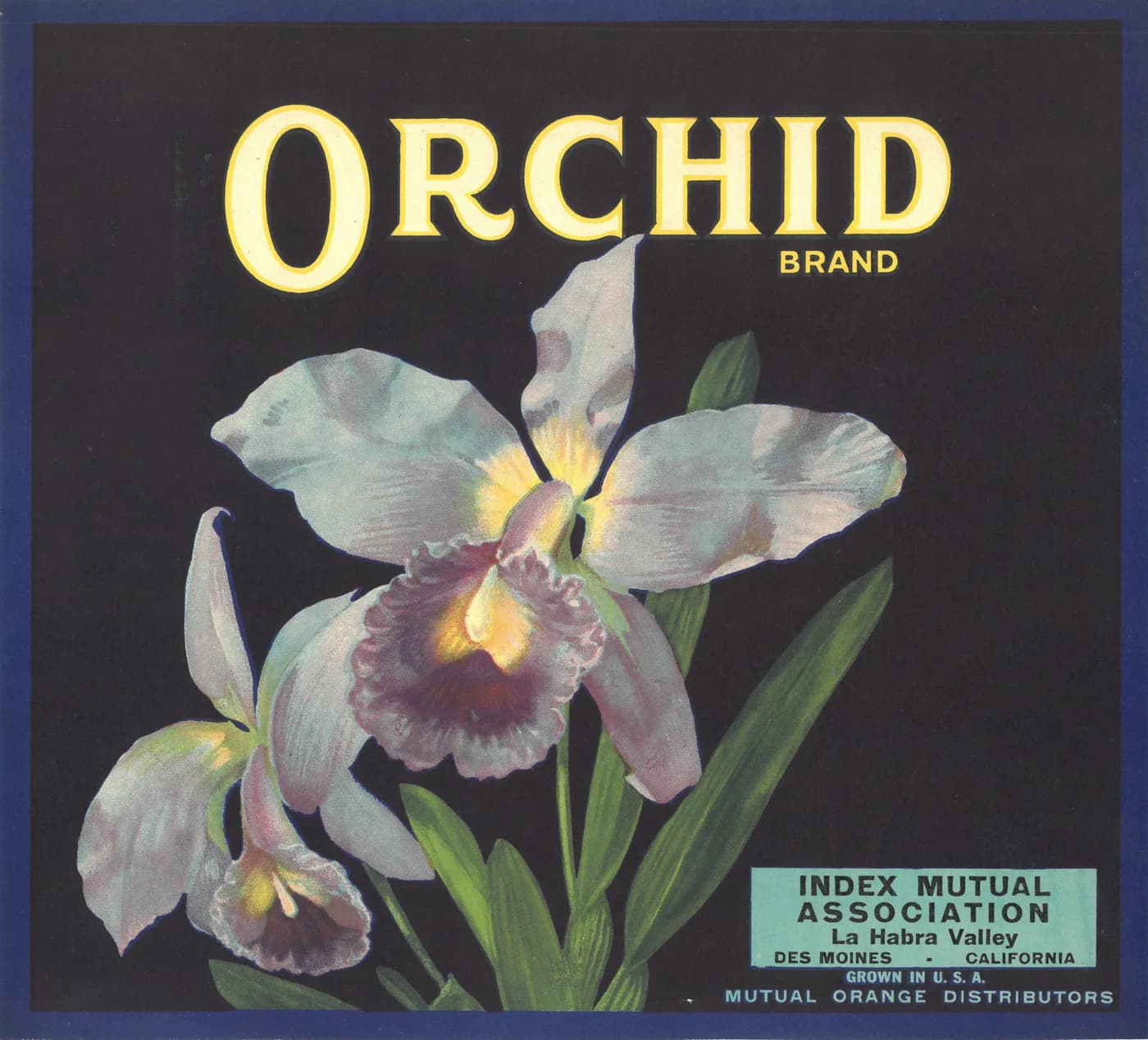 Orchid, citrus crate label, La Habra Valley, Des Moines, California, 1932