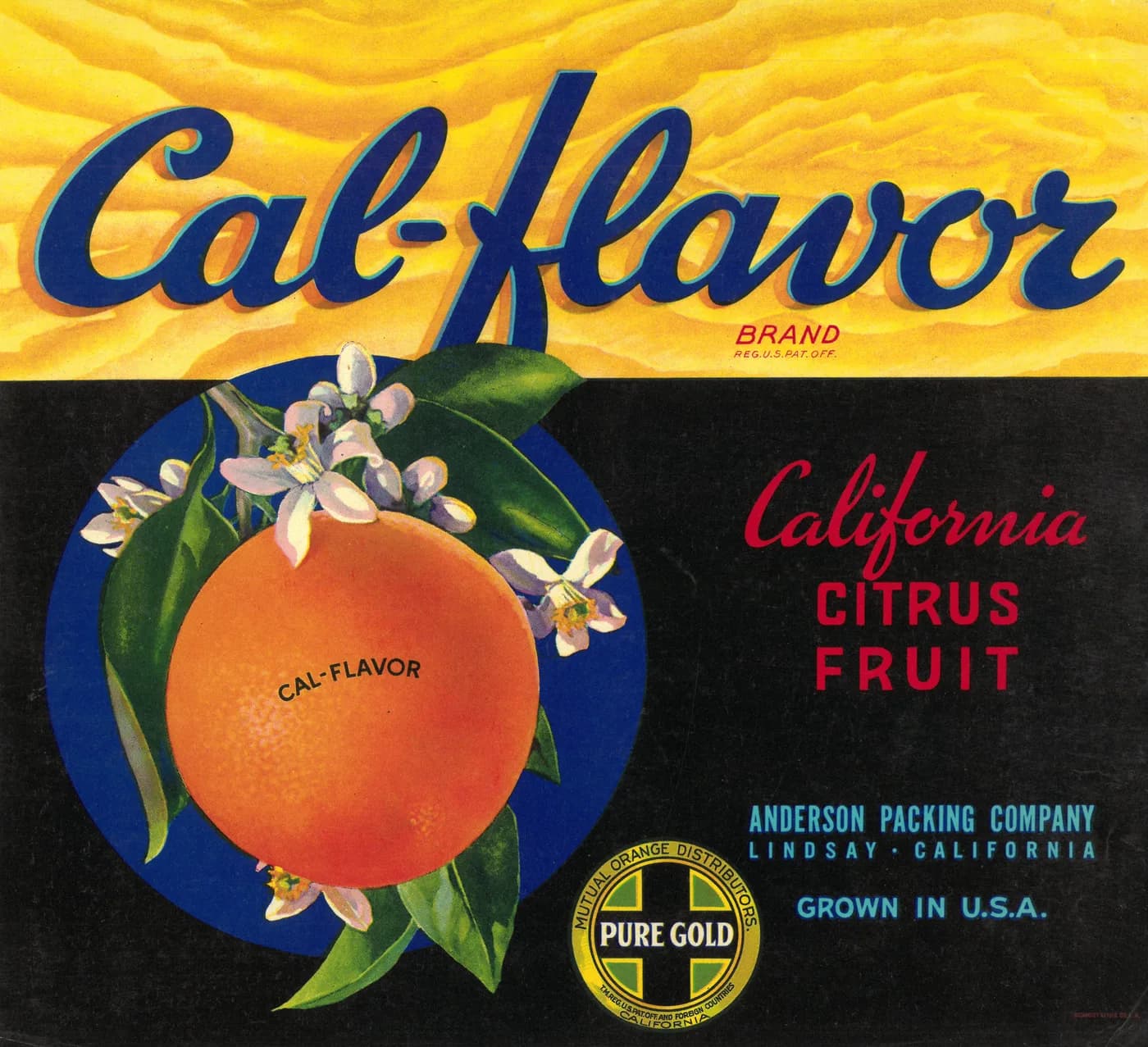 Cal-flavor, citrus crate label, citrus fruit, Lindsay, California, 1920-1930