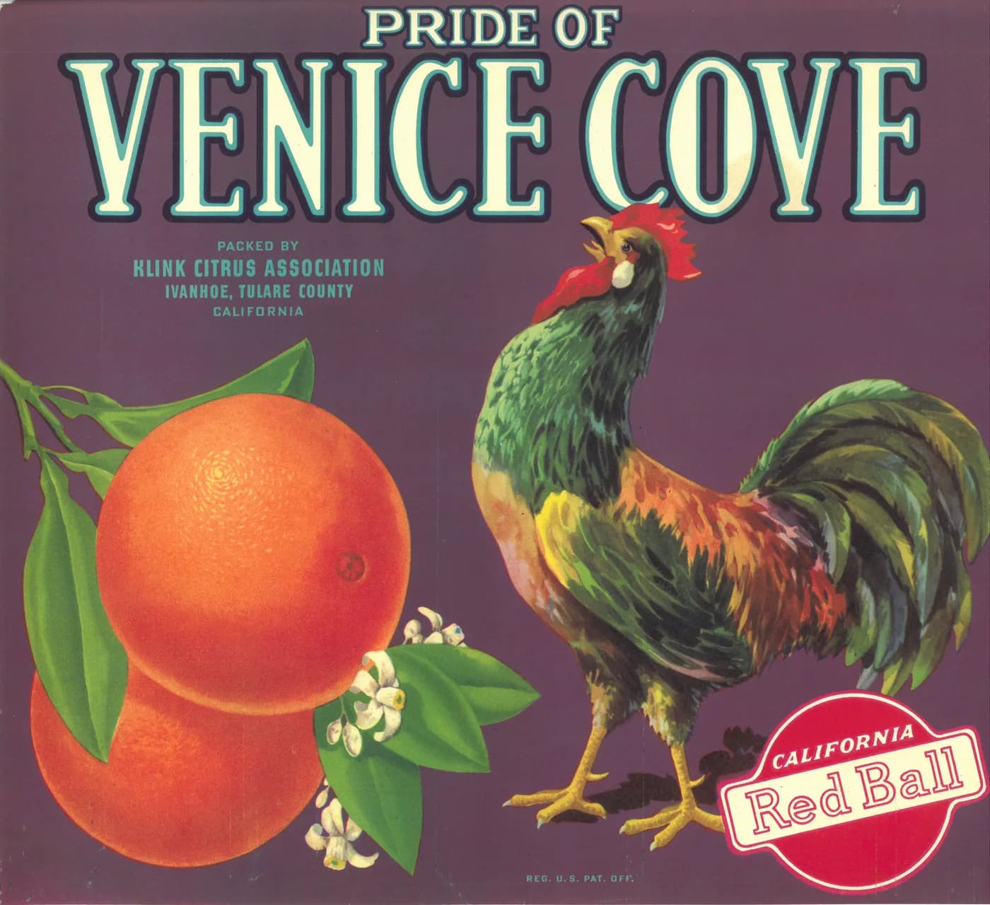 Pride of Venice Cove, citrus crate label, navel orange, Ivanhoe, Tulare County, California, 1929