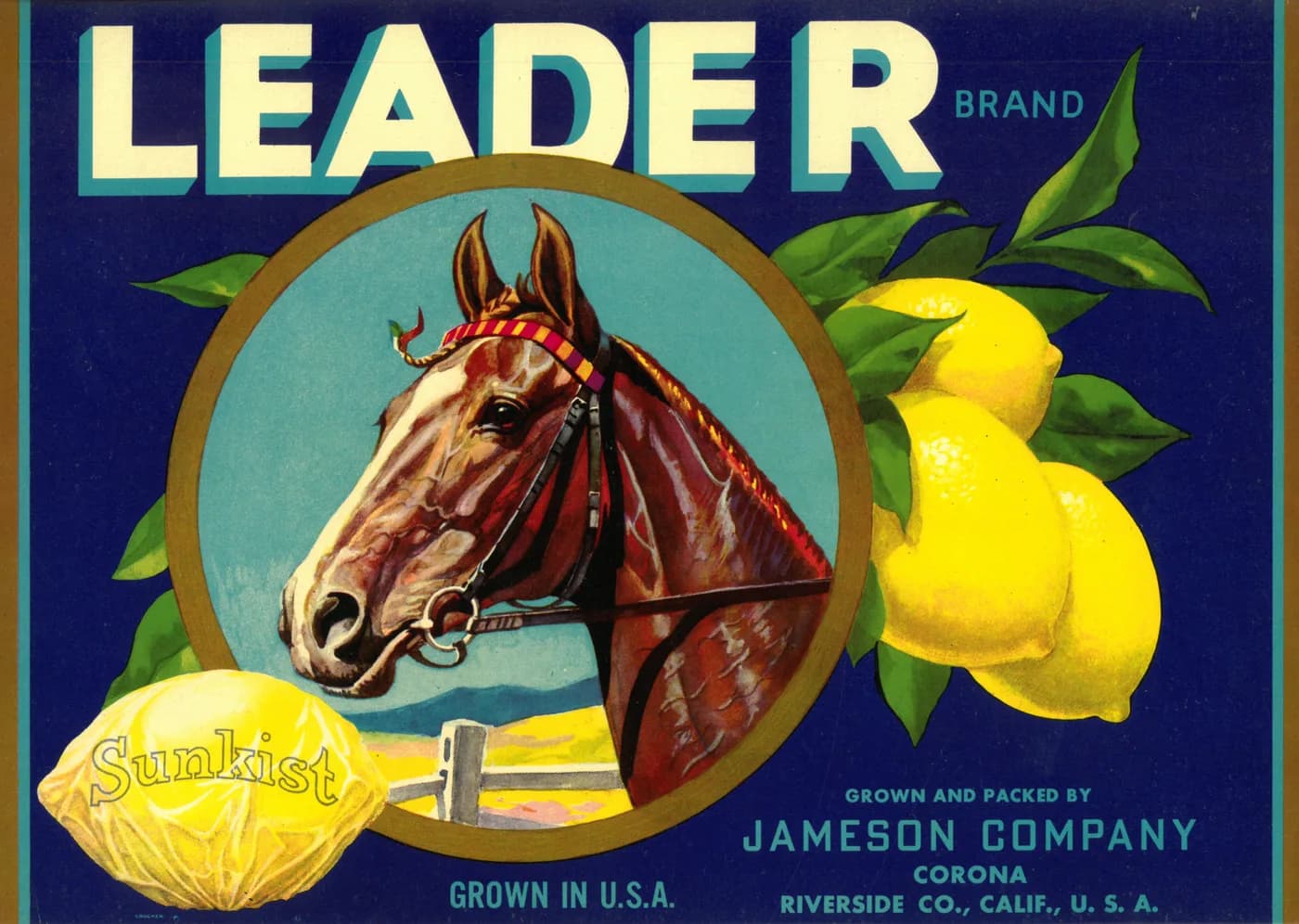 Leader, citrus crate label, lemon, Corona, Riverside Co., Calif., U.S.A., 1920-1930