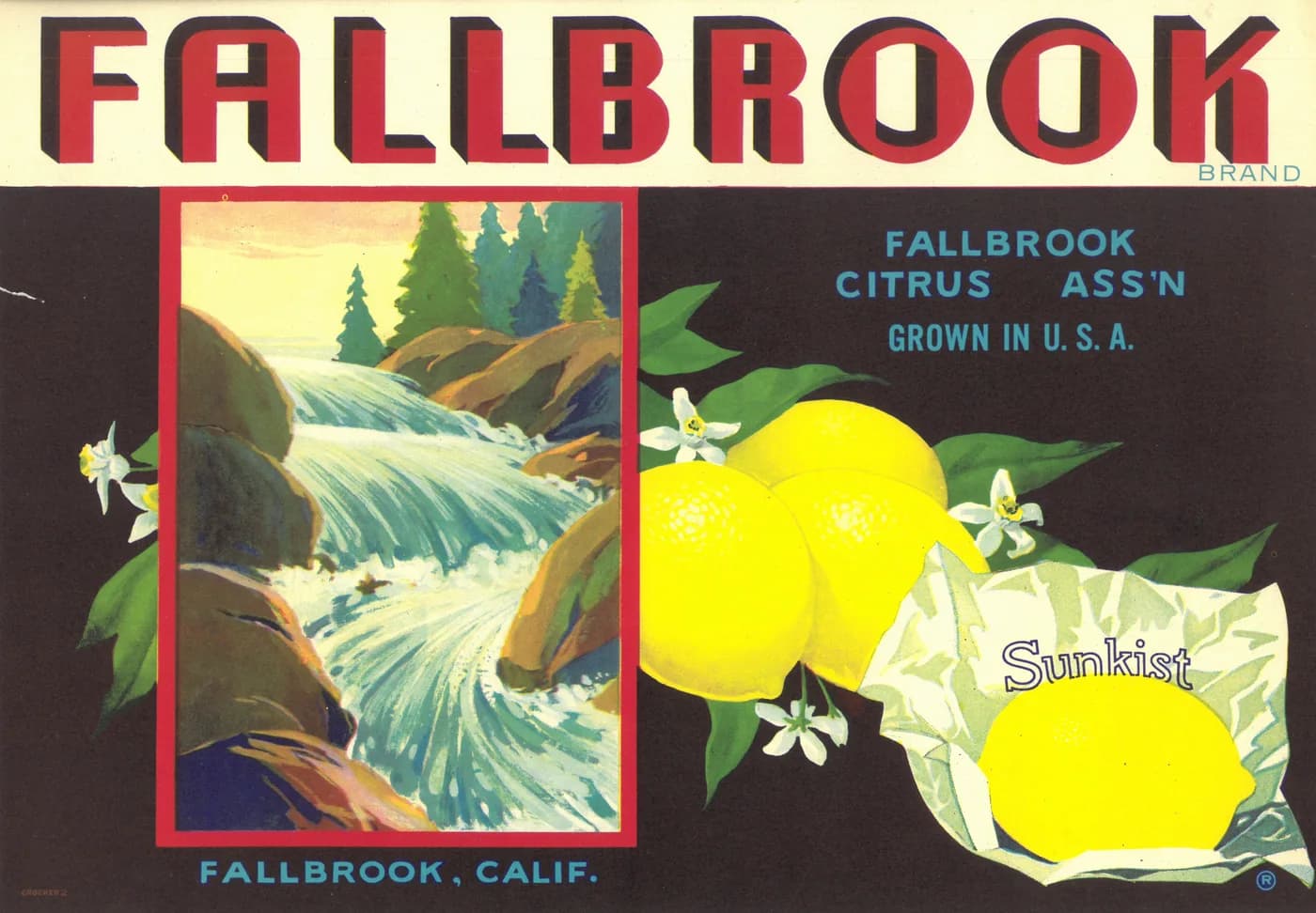 Fallbrook, citrus crate label, lemon, Fallbrook, Calif., 1924